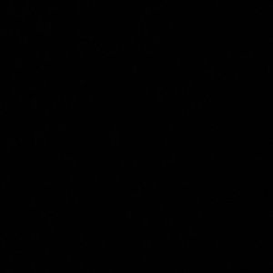 Meet your Posher, Mallory